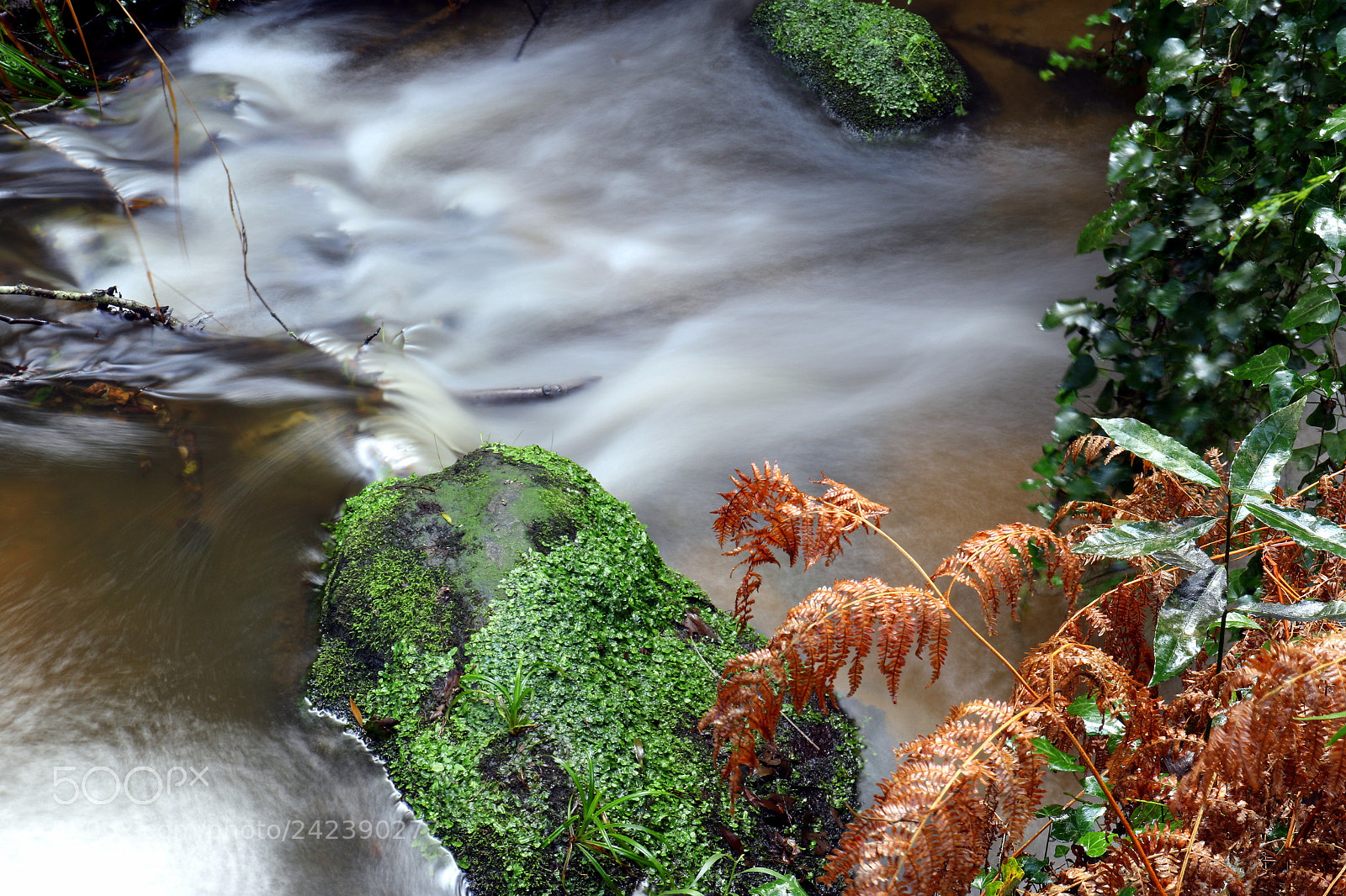 Canon EF 24-70mm F4L IS USM sample photo. Little river photography