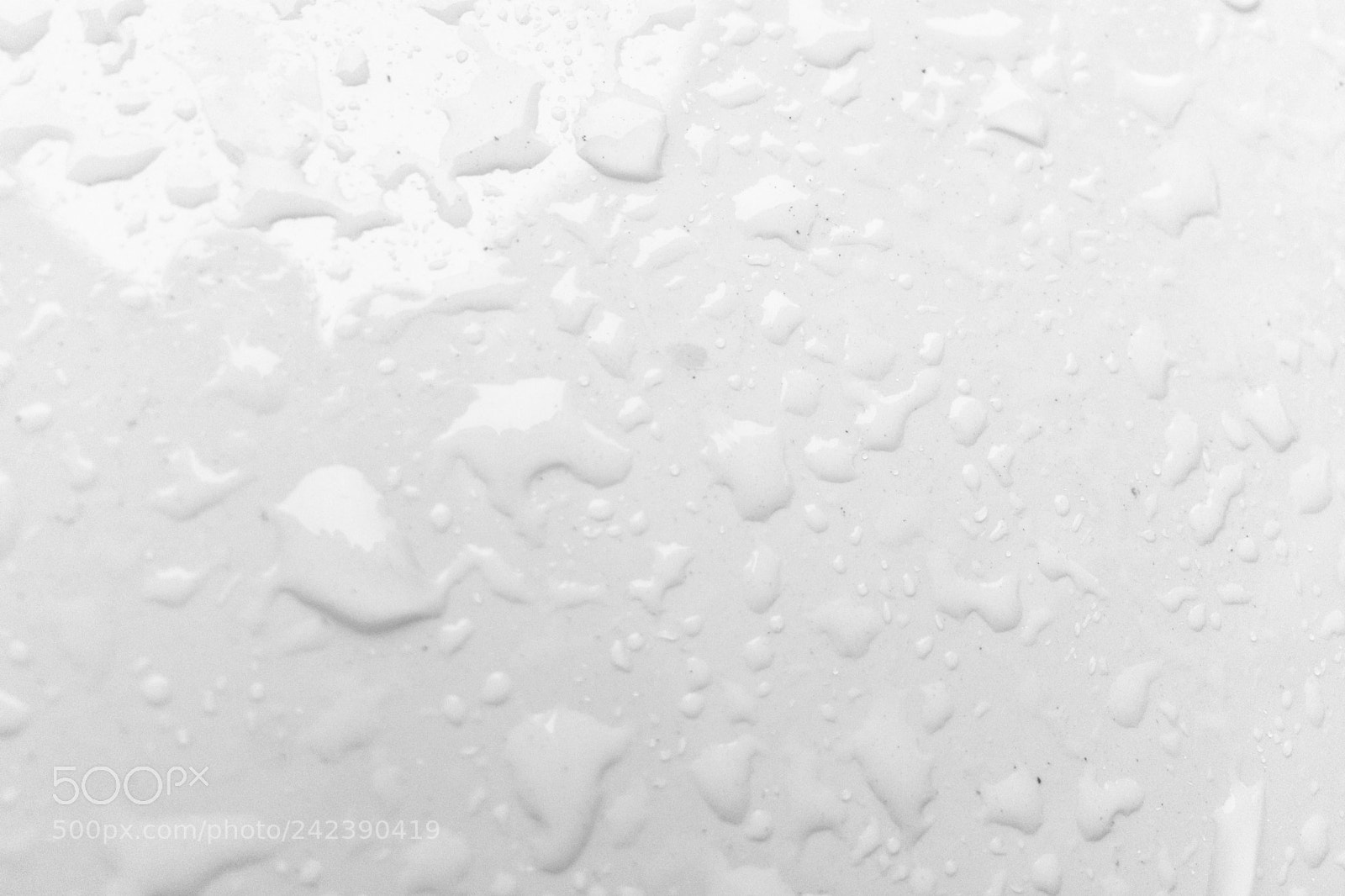 Apple iPhone SE sample photo. Gotas de lluvia photography
