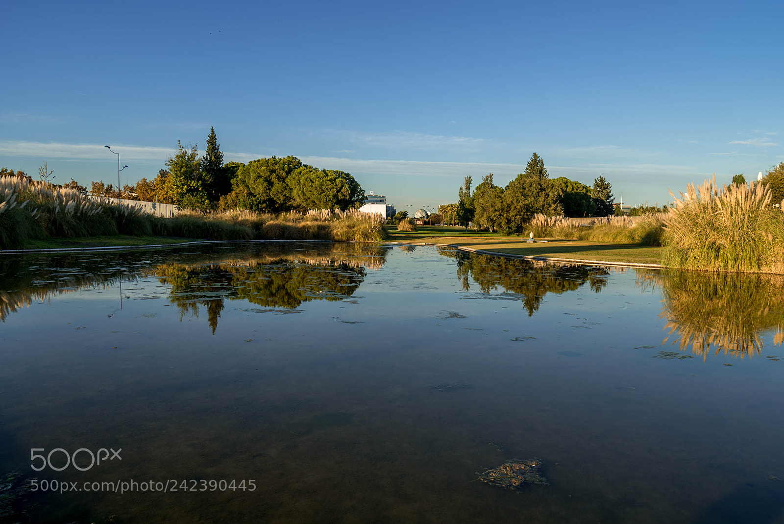 Sony a7S II sample photo. Mirror pond photography
