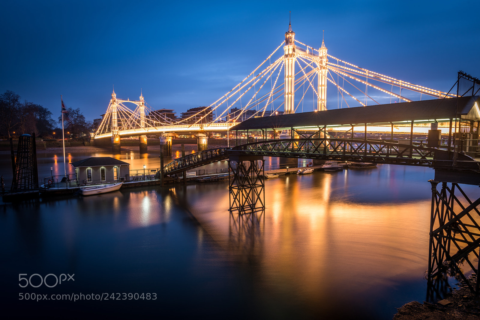 Nikon D810 sample photo. Albert bridge photography