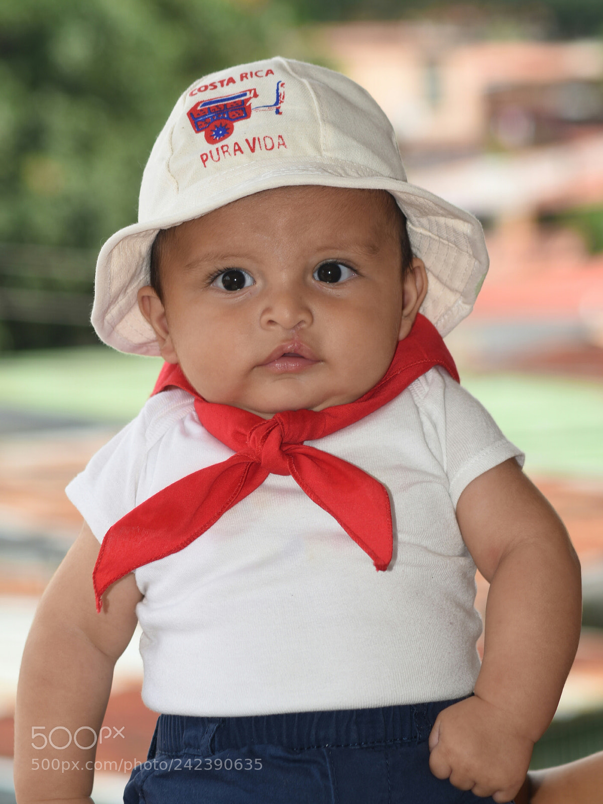 Nikon D5500 sample photo. Untitled photography