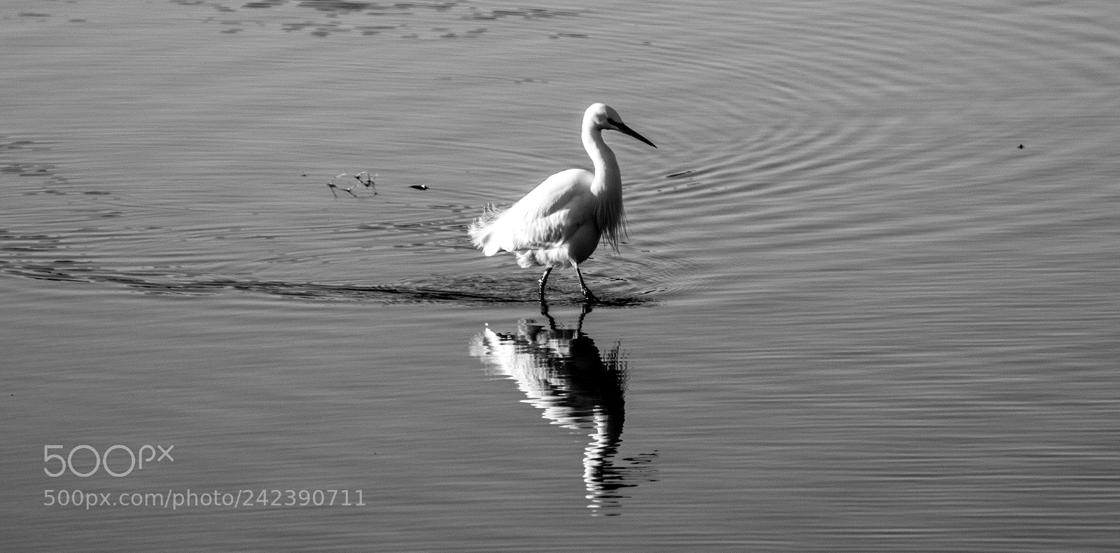 Nikon D3200 sample photo. Another shot from rspb photography
