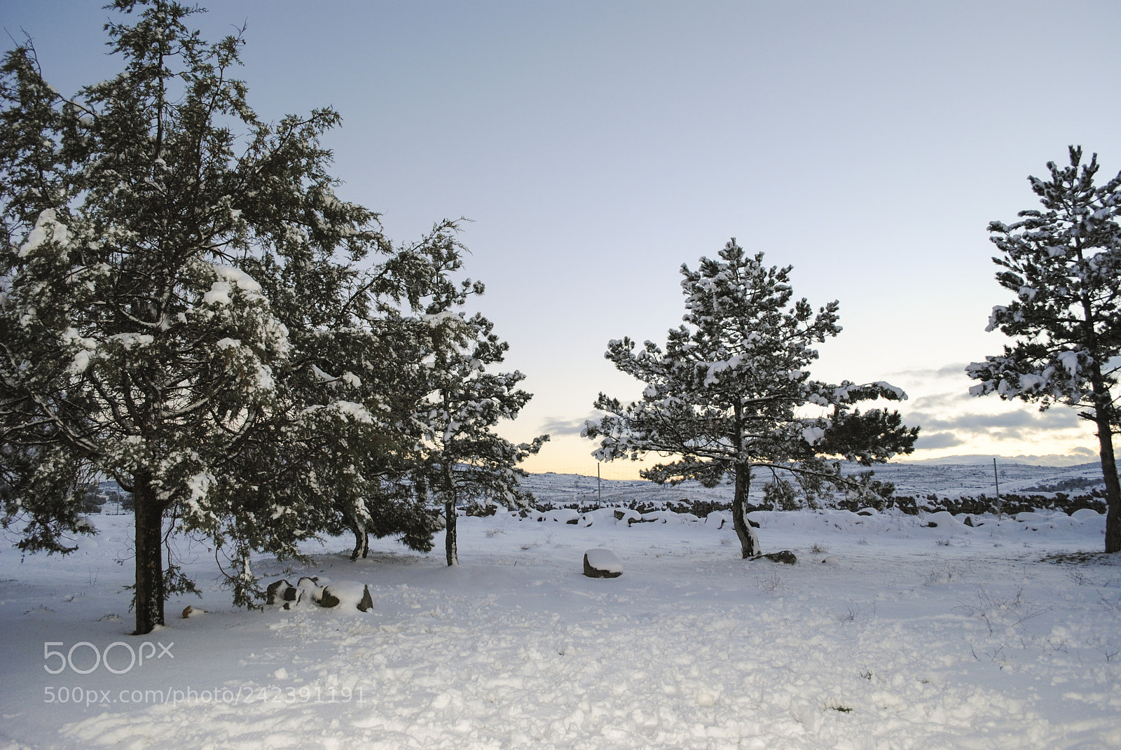 Nikon D3000 sample photo. Invierno photography