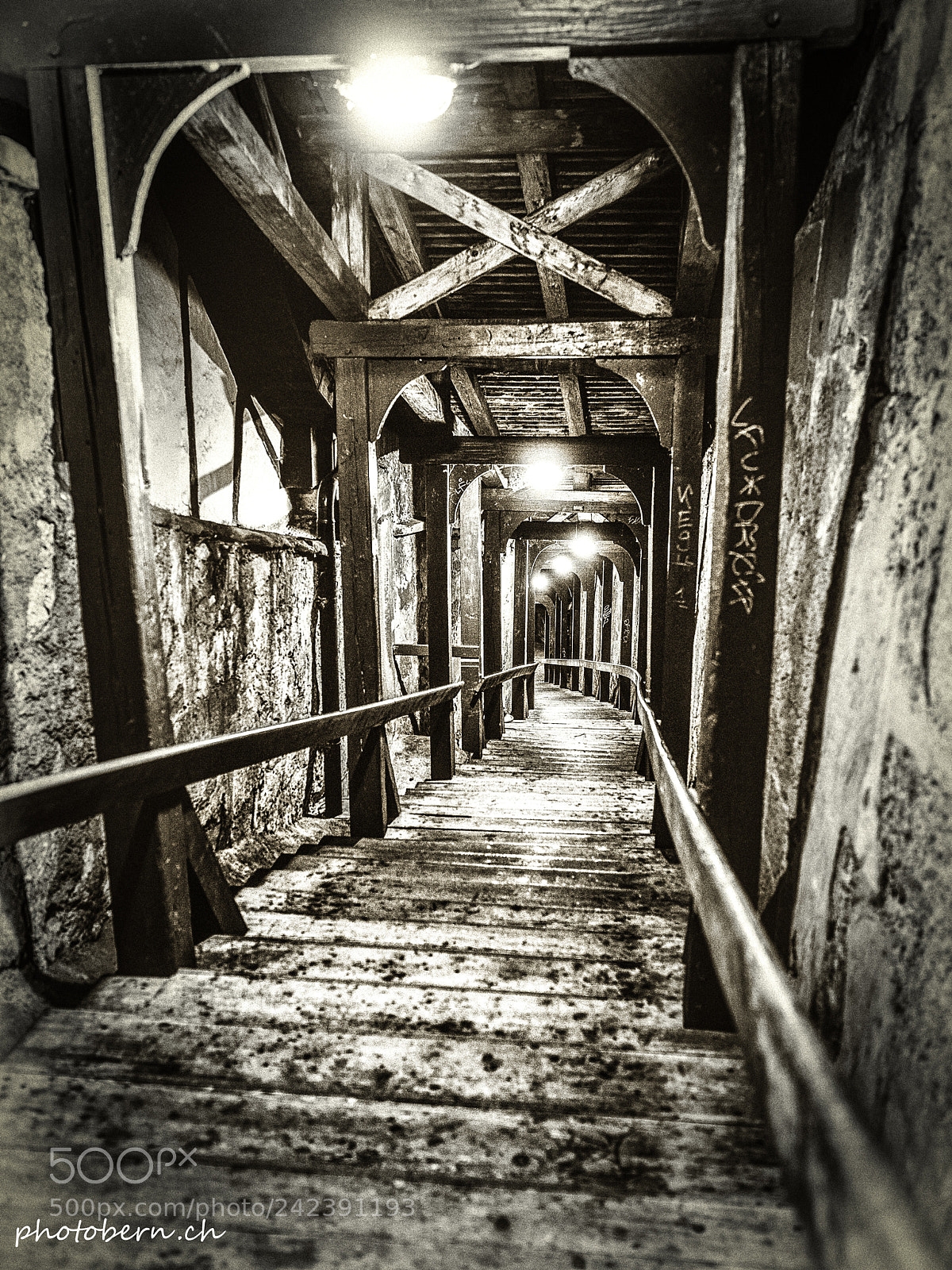 Olympus OM-D E-M1 Mark II sample photo. Fricktreppe photography