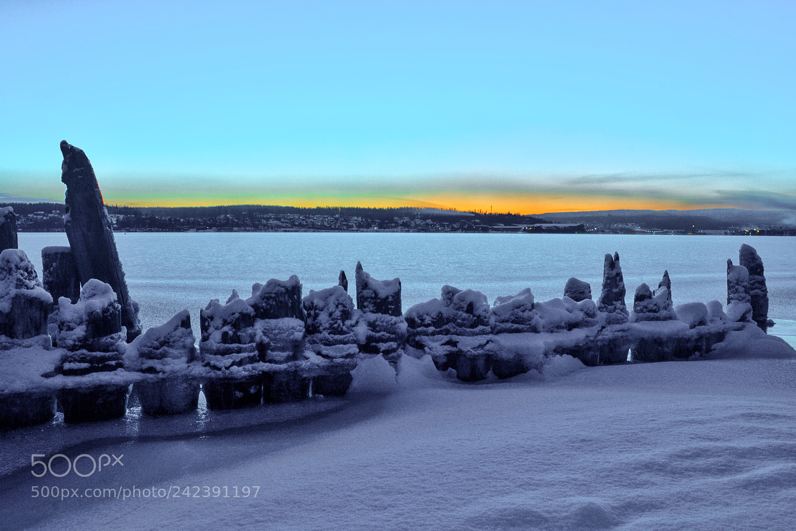 Canon EOS 550D (EOS Rebel T2i / EOS Kiss X4) sample photo. Winter by the bay photography