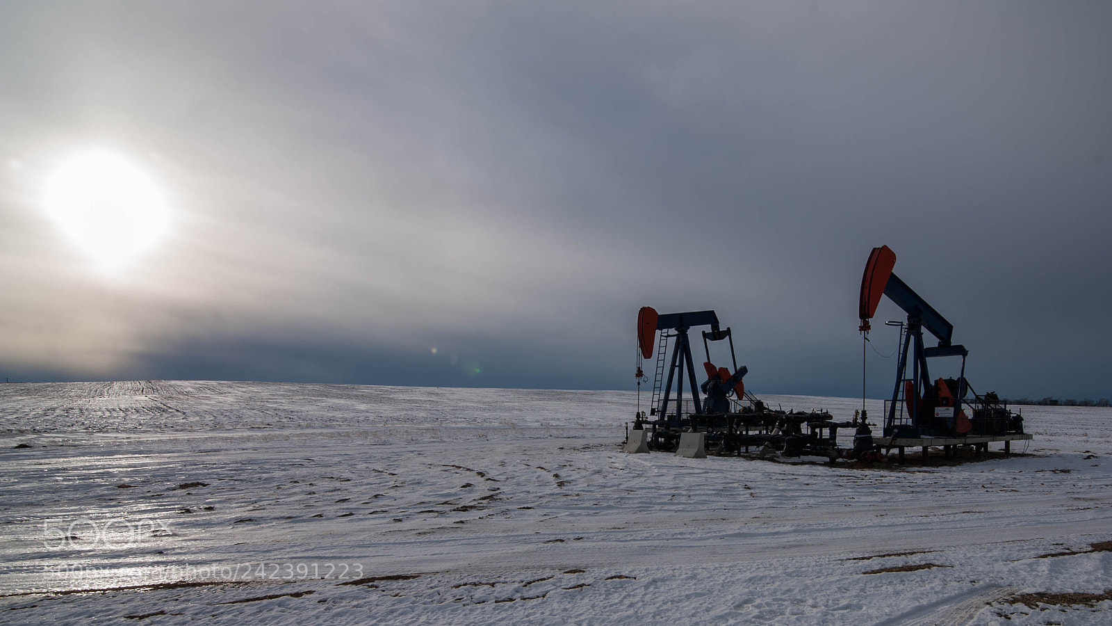 Nikon D700 sample photo. Albertas oil photography
