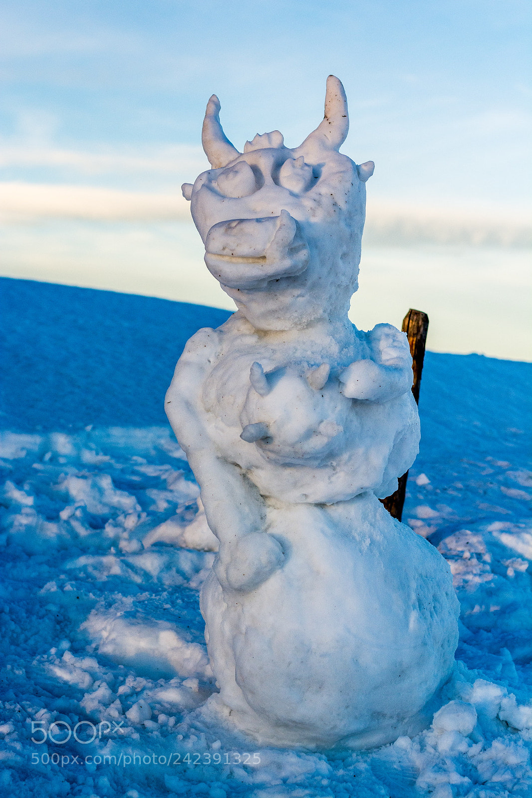 Nikon D7100 sample photo. Snowma.. äh cow? photography