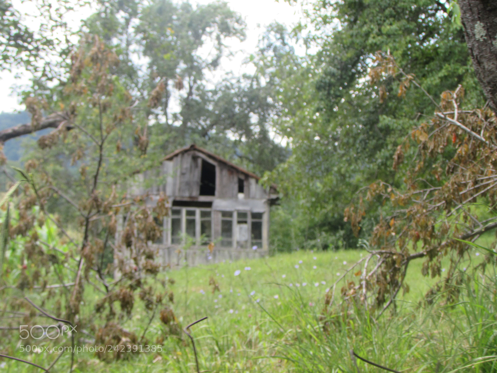 Canon PowerShot SX510 HS sample photo. Img photography