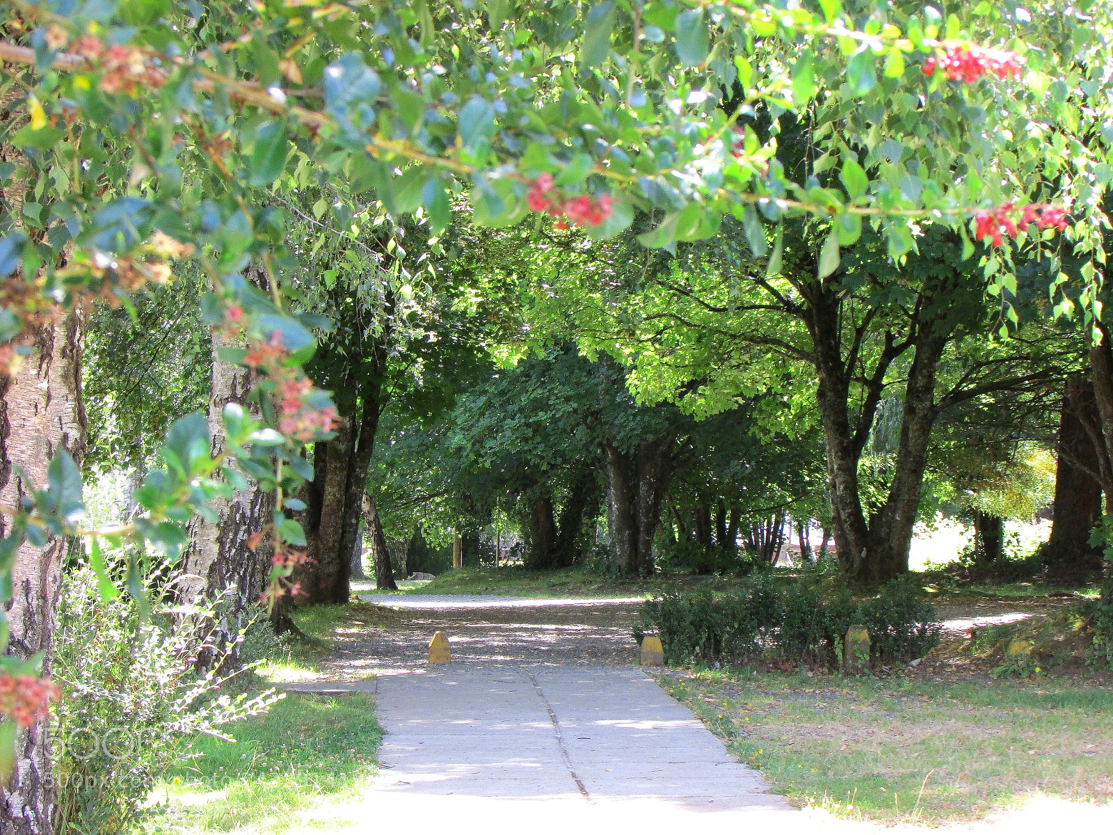Canon PowerShot SX500 IS sample photo. Untitled photography