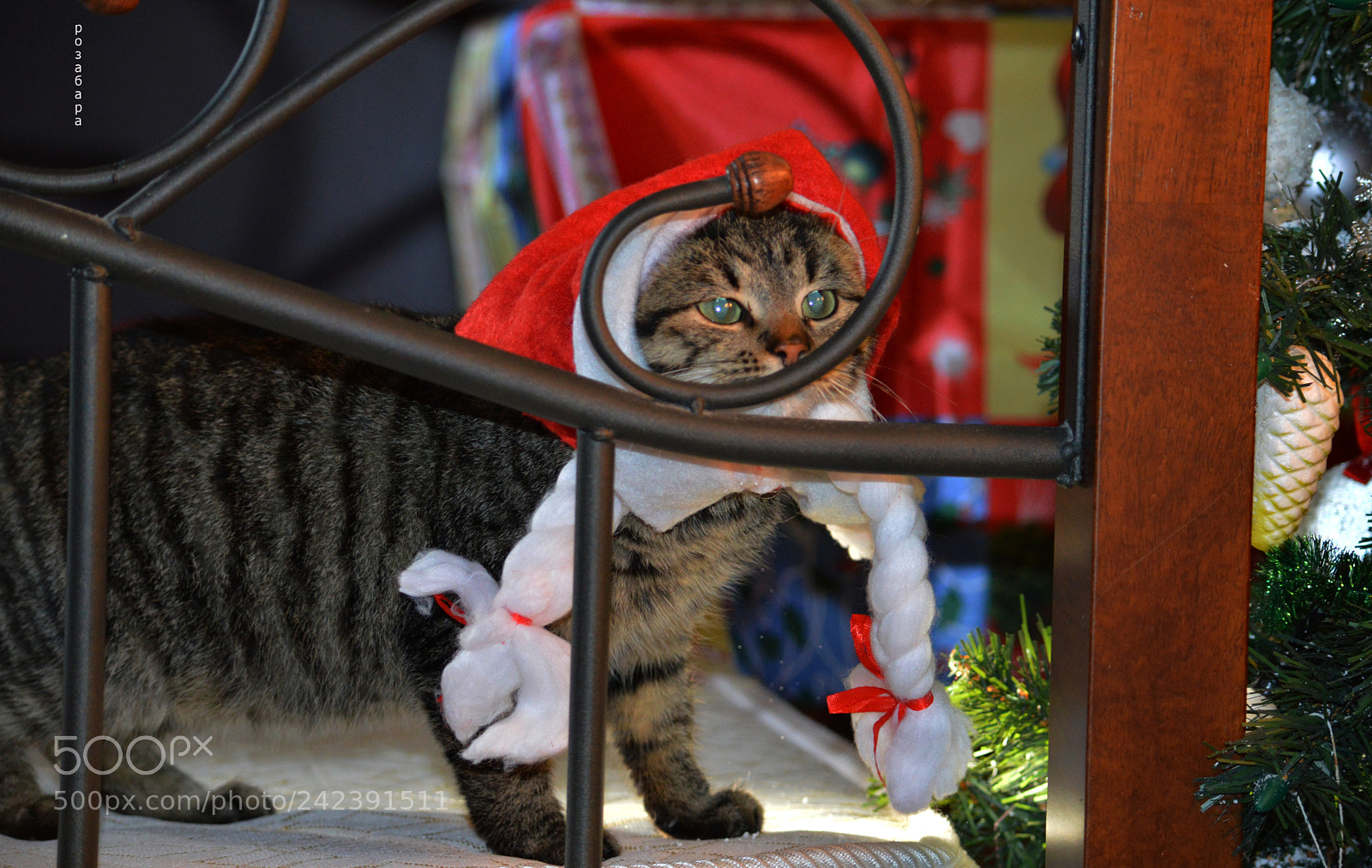 Nikon D3200 sample photo. вся жизнь игра!как мне Вам понравиться! photography