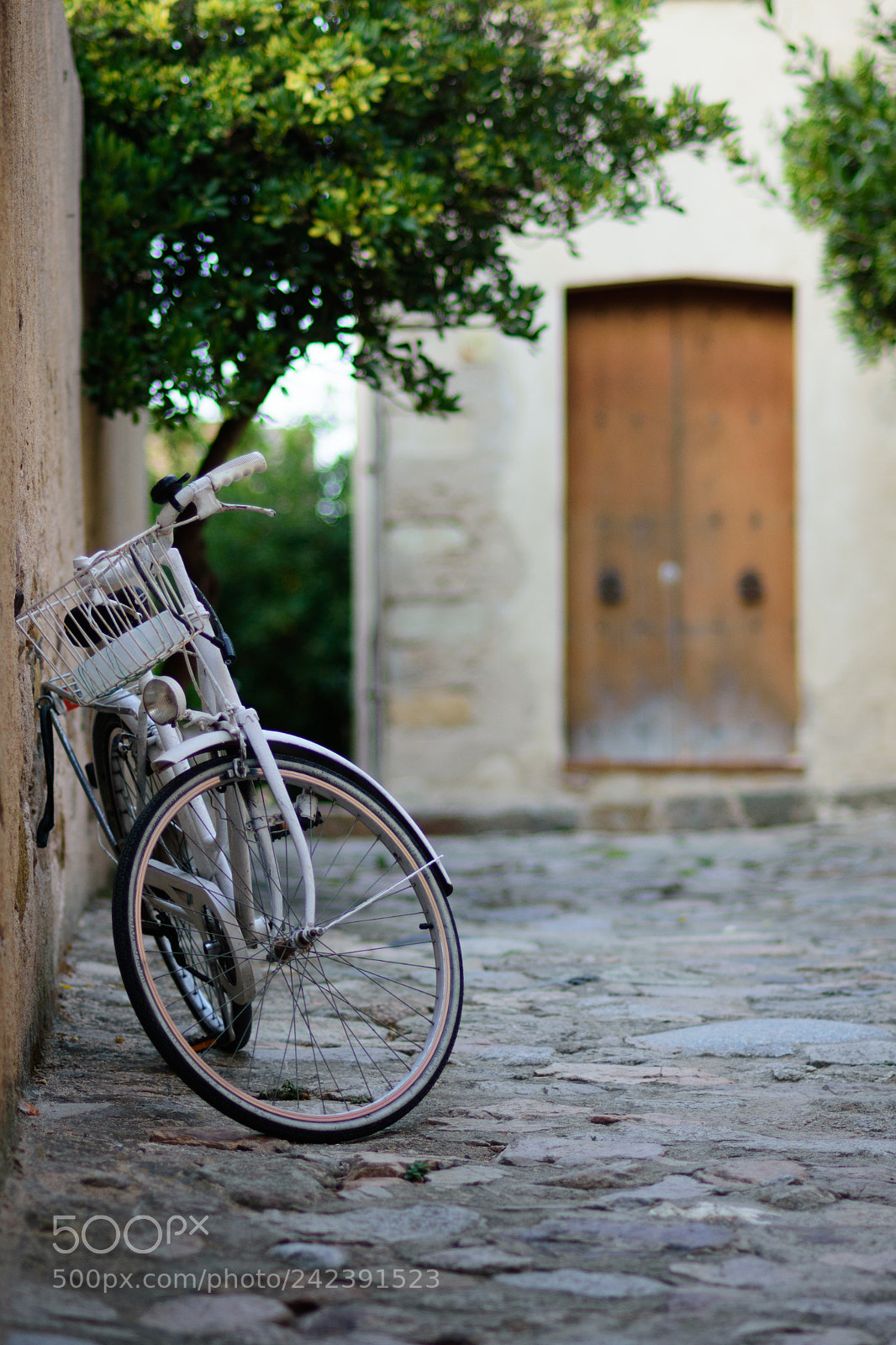 Nikon D7200 sample photo. Lovely photography