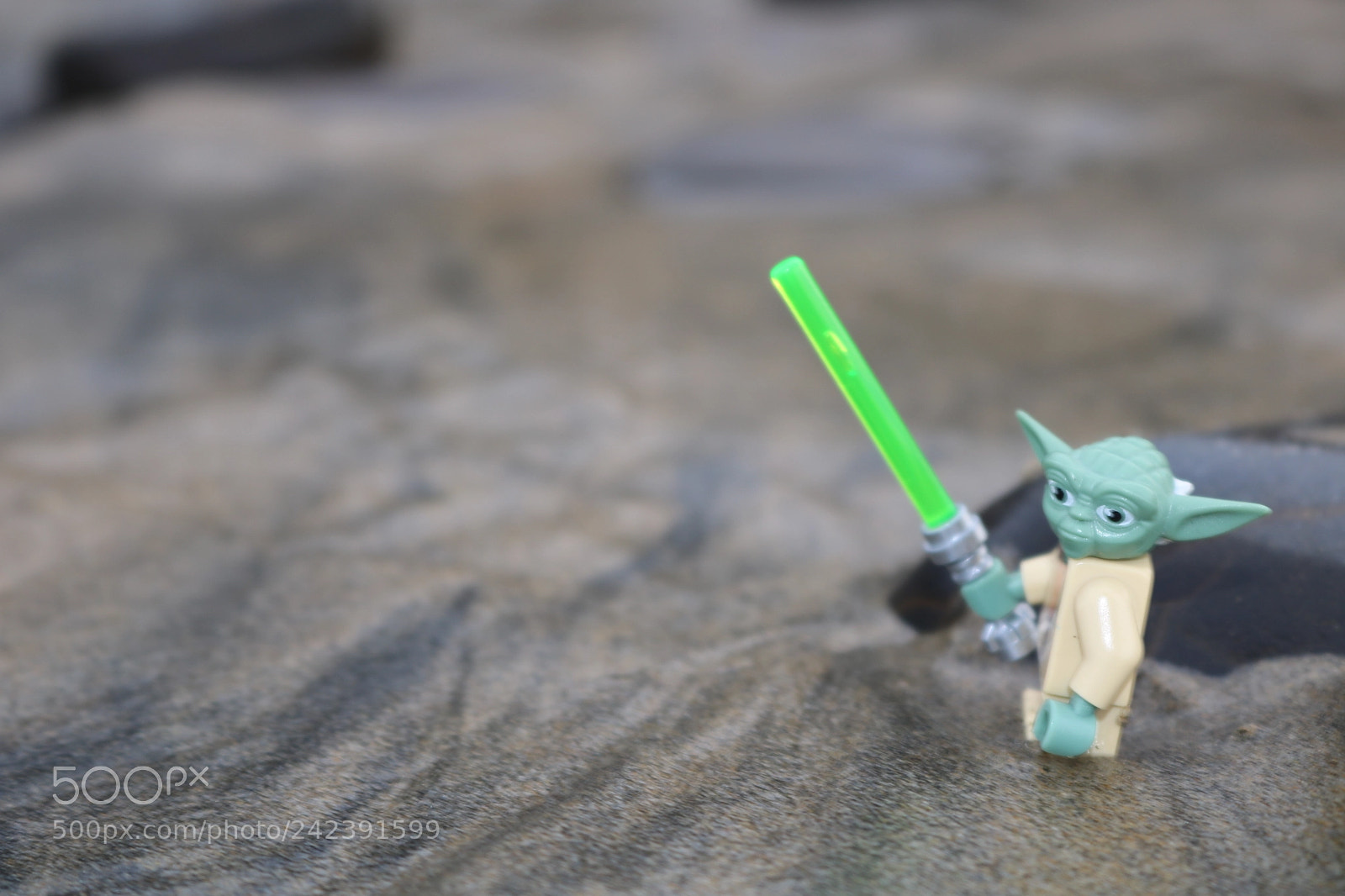 Canon EOS 750D (EOS Rebel T6i / EOS Kiss X8i) sample photo. Img photography