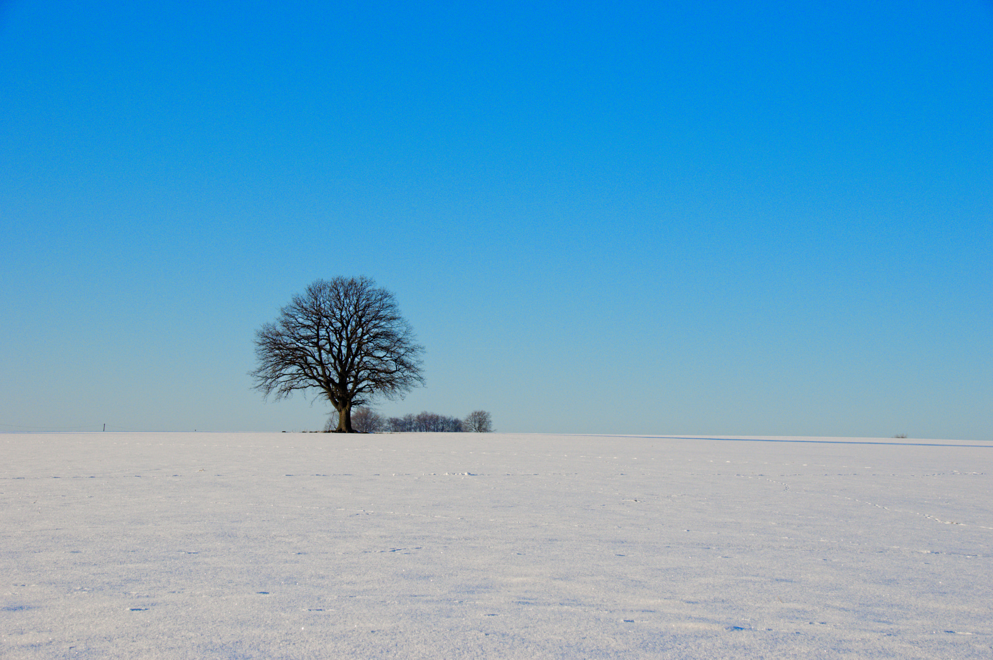 Sigma 18-250mm F3.5-6.3 DC Macro OS HSM sample photo. Sunny winterday photography