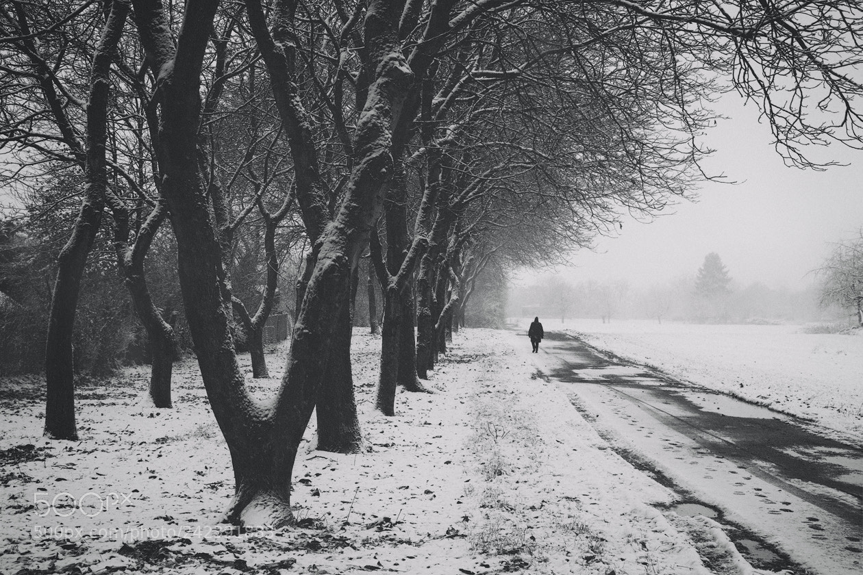 Olympus OM-D E-M5 sample photo. Winter road photography