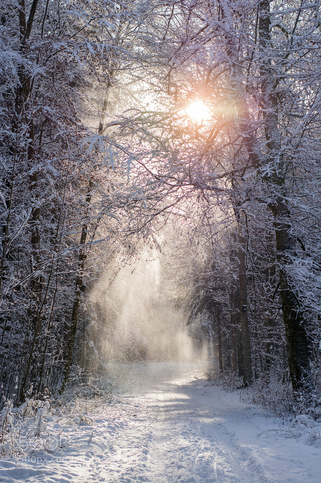 Nikon D7100 sample photo. Trickling snow photography