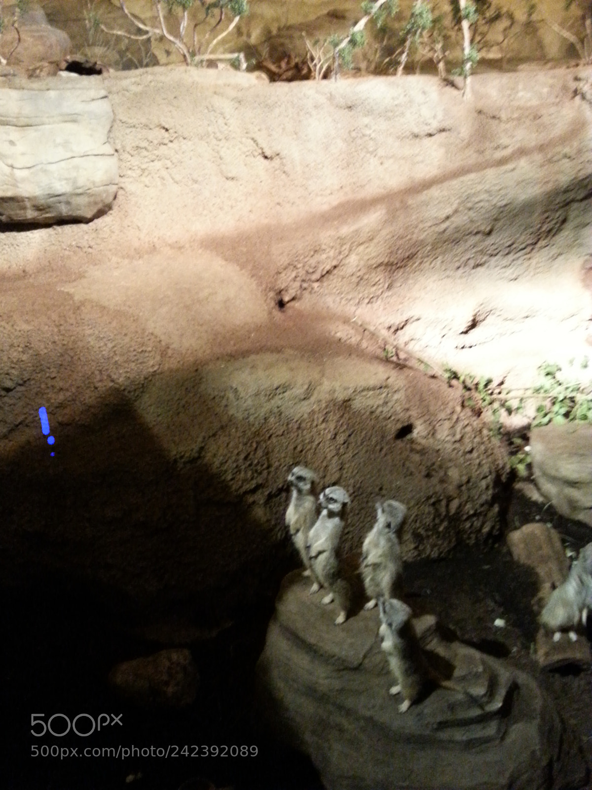 Samsung Galaxy S3 sample photo. Untitled photography