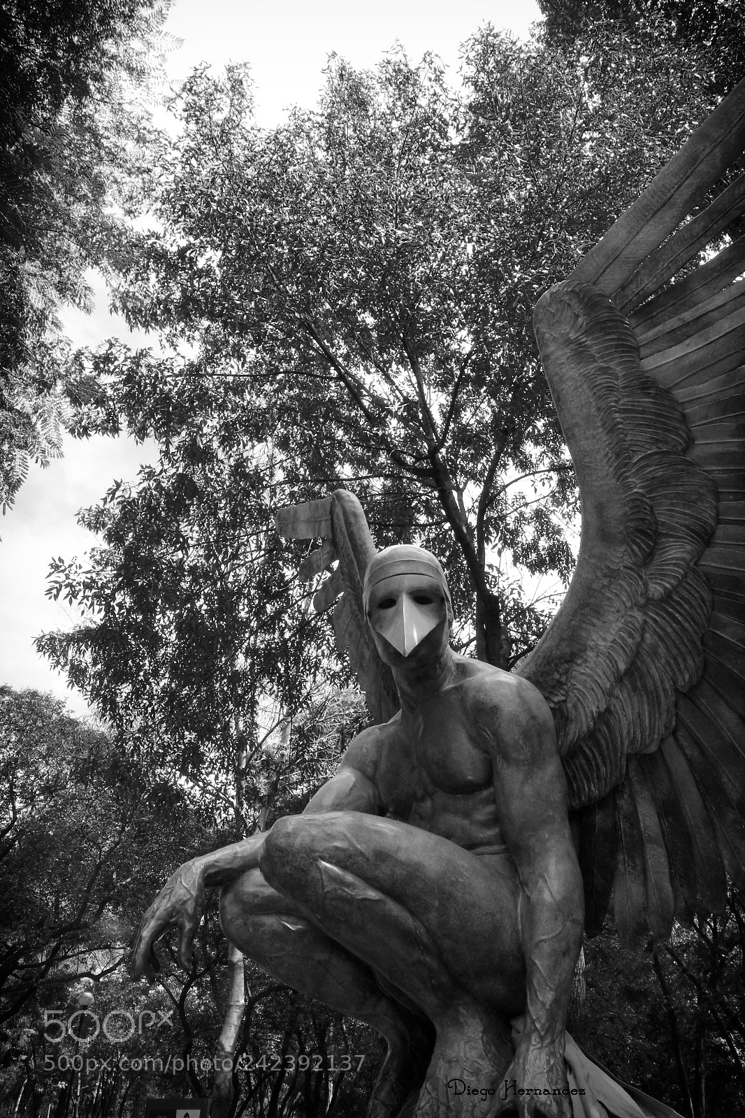 Canon EOS 550D (EOS Rebel T2i / EOS Kiss X4) sample photo. Escultura de jorge mar photography