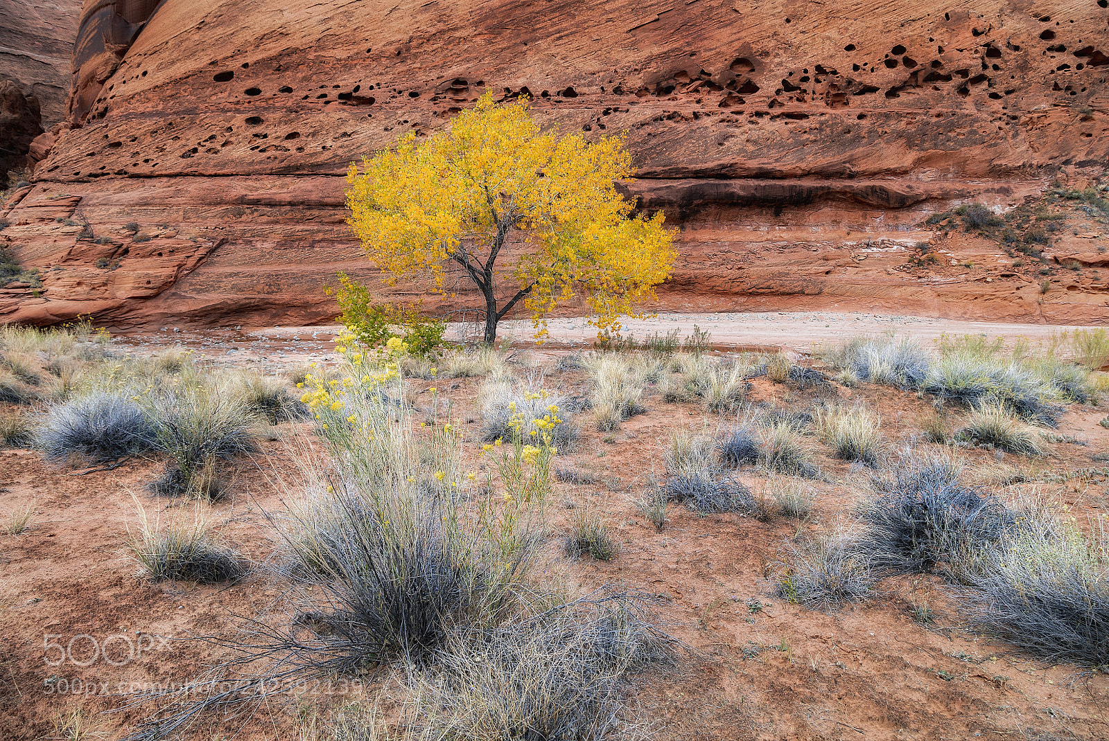 Canon EOS 5DS sample photo. Elements photography