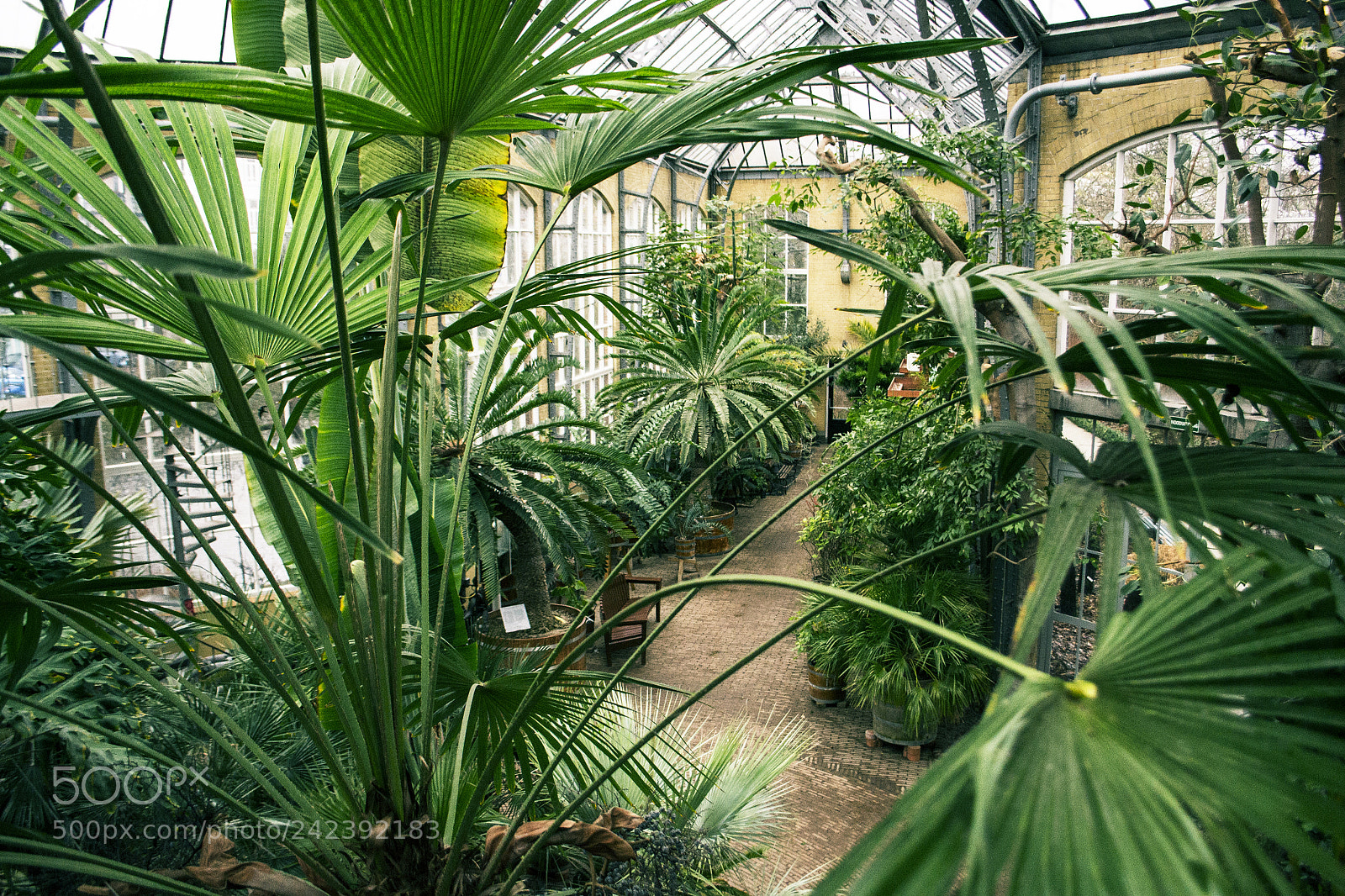 Nikon D3100 sample photo. Botanical gardens photography