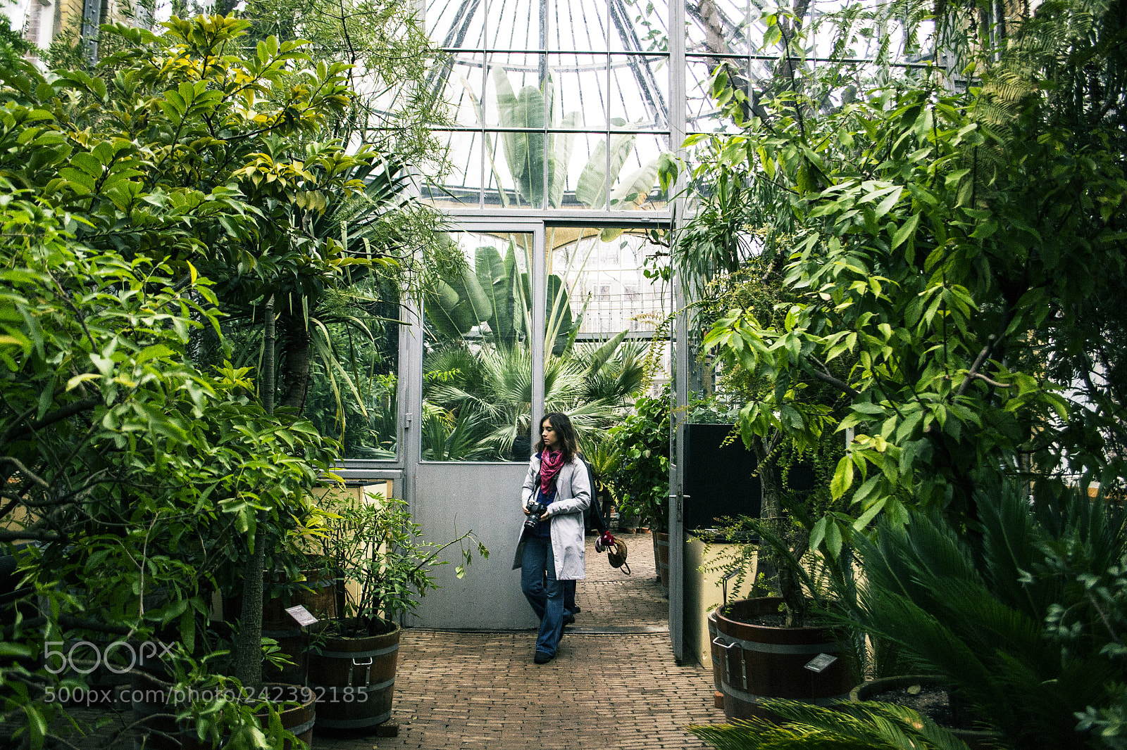 Nikon D3100 sample photo. Botanical gardens photography