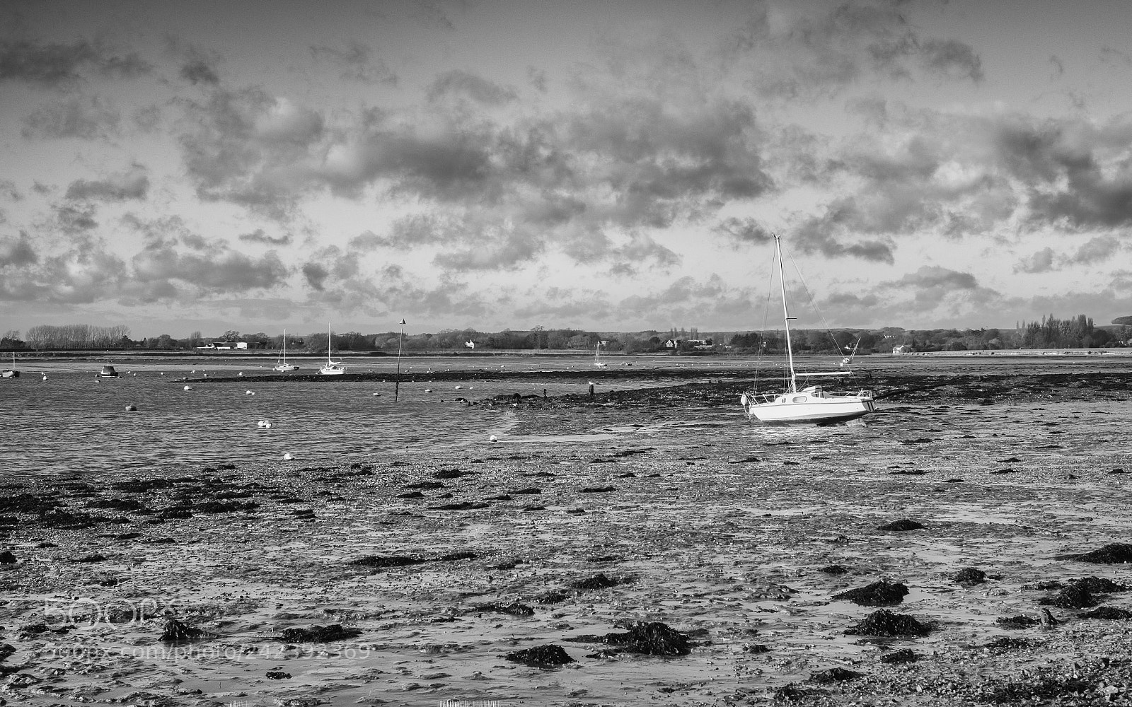 Fujifilm X-Pro1 sample photo. Still waiting for high photography