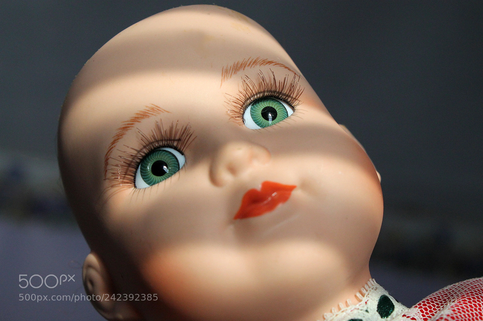 Canon EOS 1100D (EOS Rebel T3 / EOS Kiss X50) sample photo. Crazy eyes photography