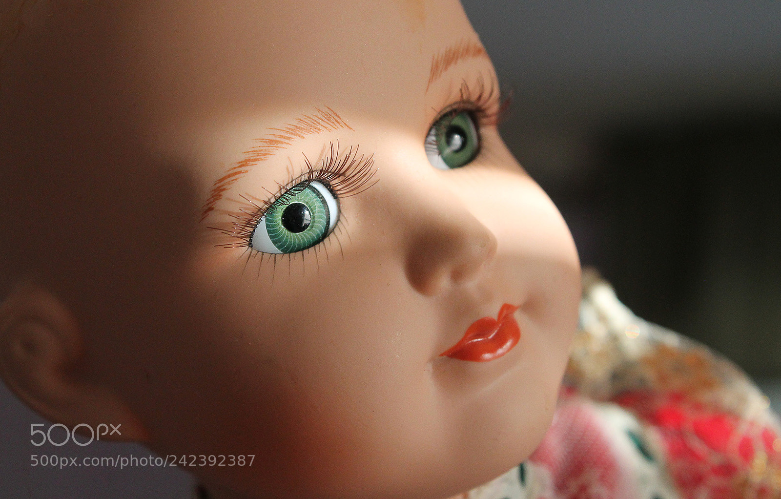 Canon EOS 1100D (EOS Rebel T3 / EOS Kiss X50) sample photo. Ready for my closeup photography