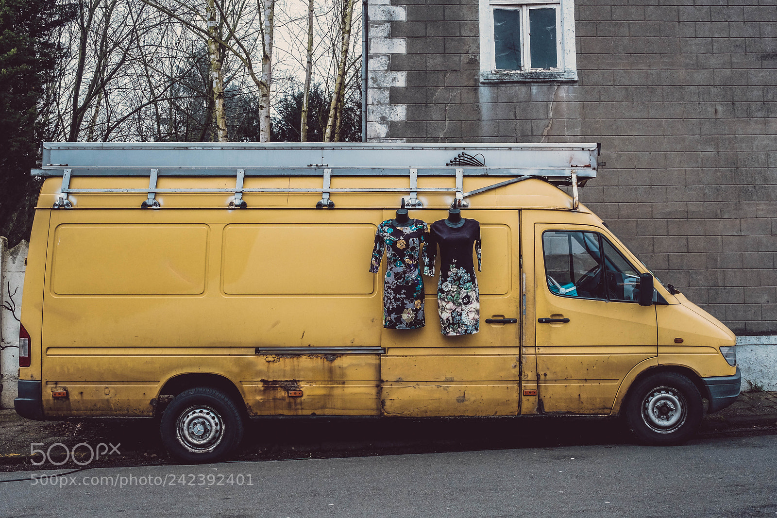 Fujifilm X-T2 sample photo. Yellow photography
