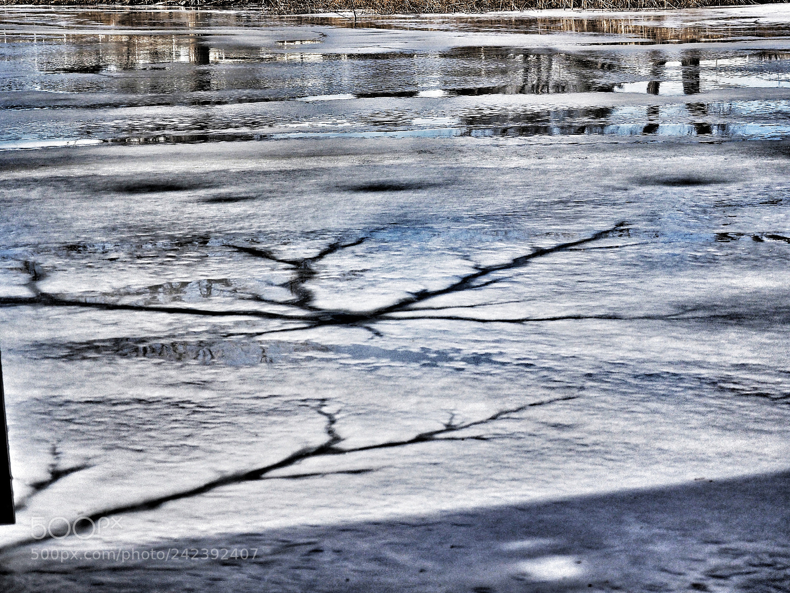 Olympus OM-D E-M10 II sample photo. Icy pond westminster colorado 12 /29 /17 photography