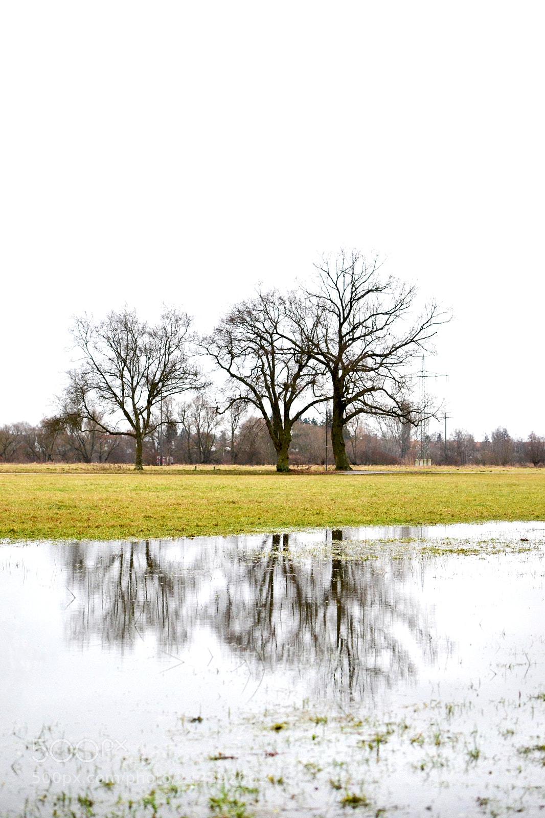 Nikon D3100 sample photo. Winter colors photography