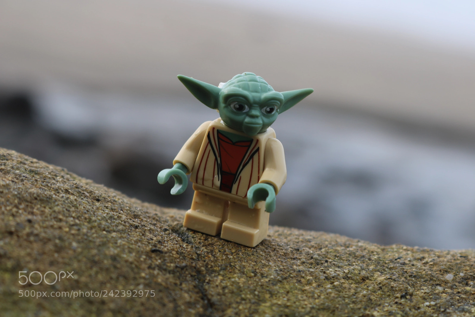 Canon EOS 750D (EOS Rebel T6i / EOS Kiss X8i) sample photo. Img photography