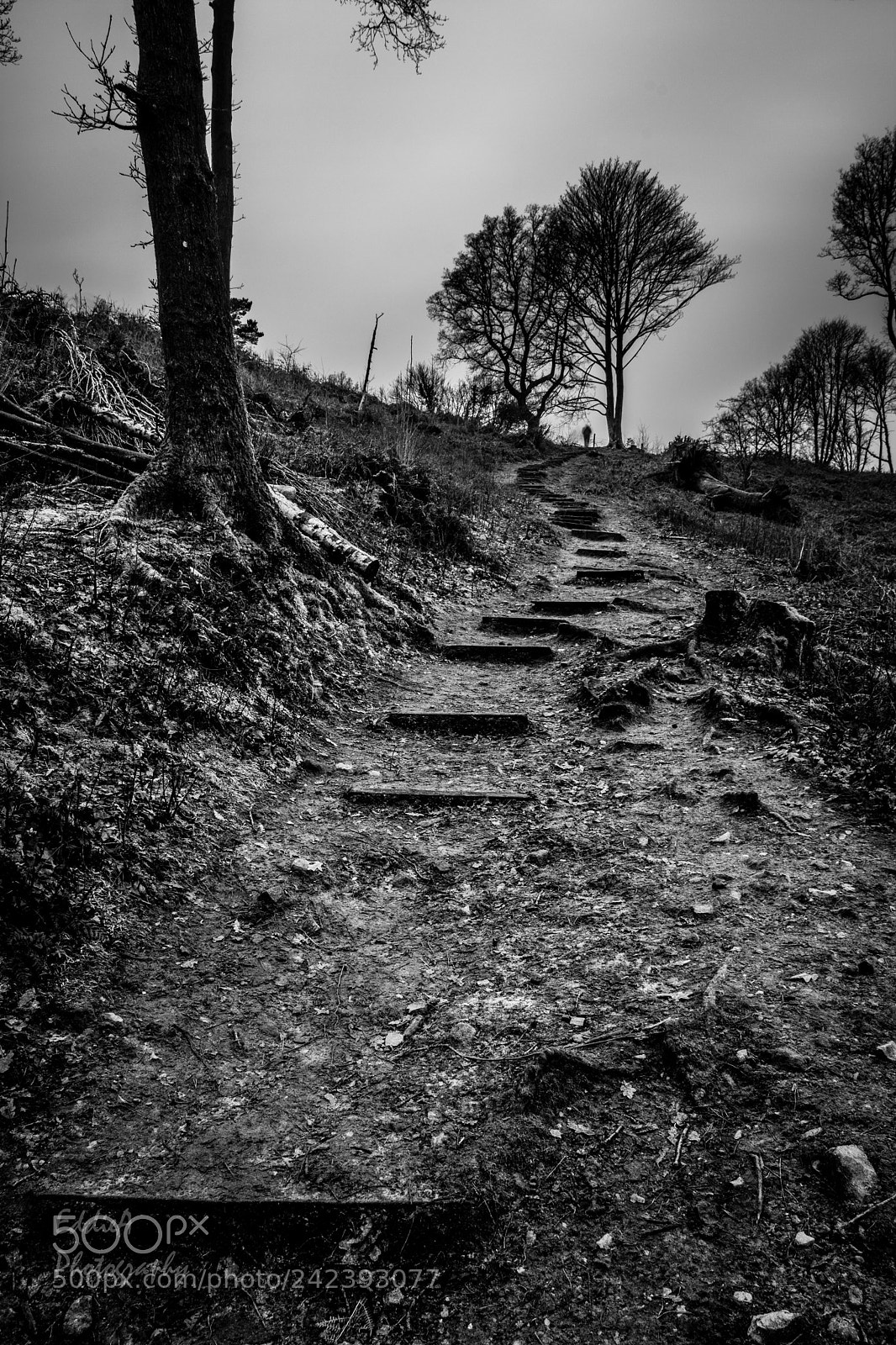 Nikon D7100 sample photo. Winding steps photography