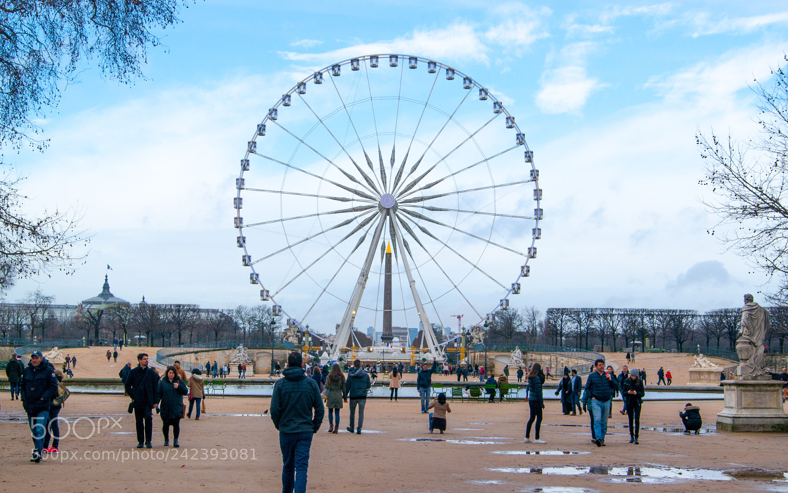Sony Alpha DSLR-A390 sample photo. The centre of attention photography