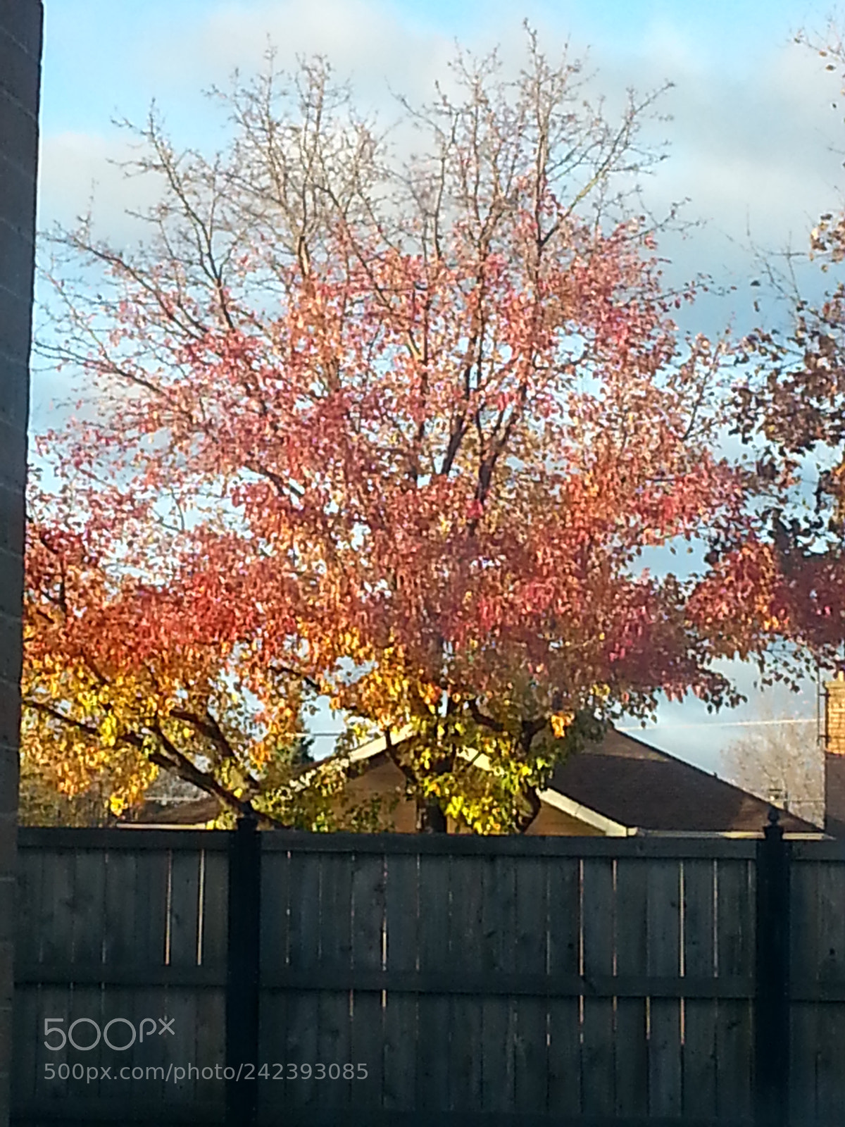 Samsung Galaxy S3 sample photo. Untitled photography