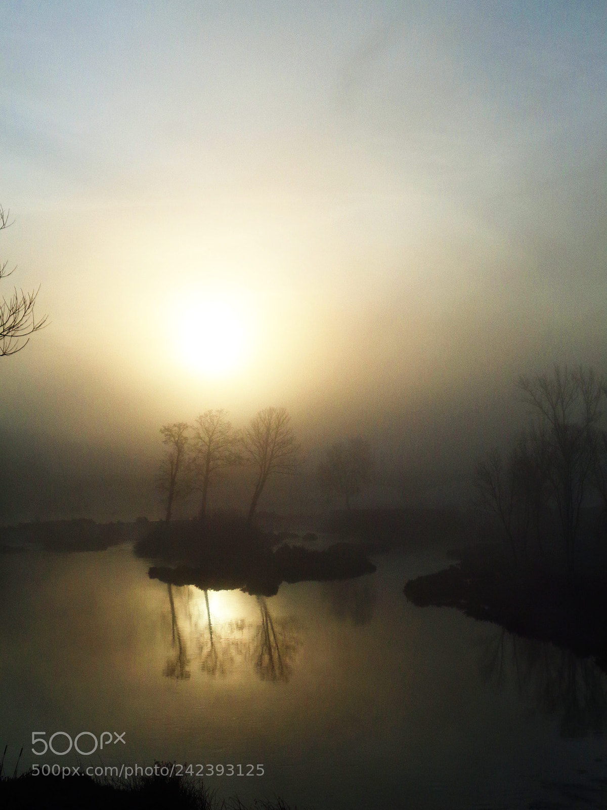Sony Cyber-shot DSC-W830 sample photo. The river at dawn.ii photography