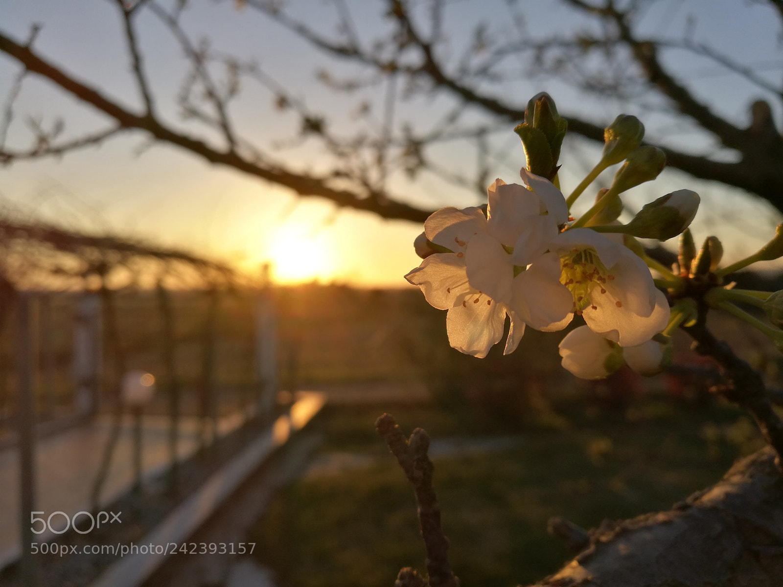 HUAWEI Honor 8 sample photo. Hdr photography