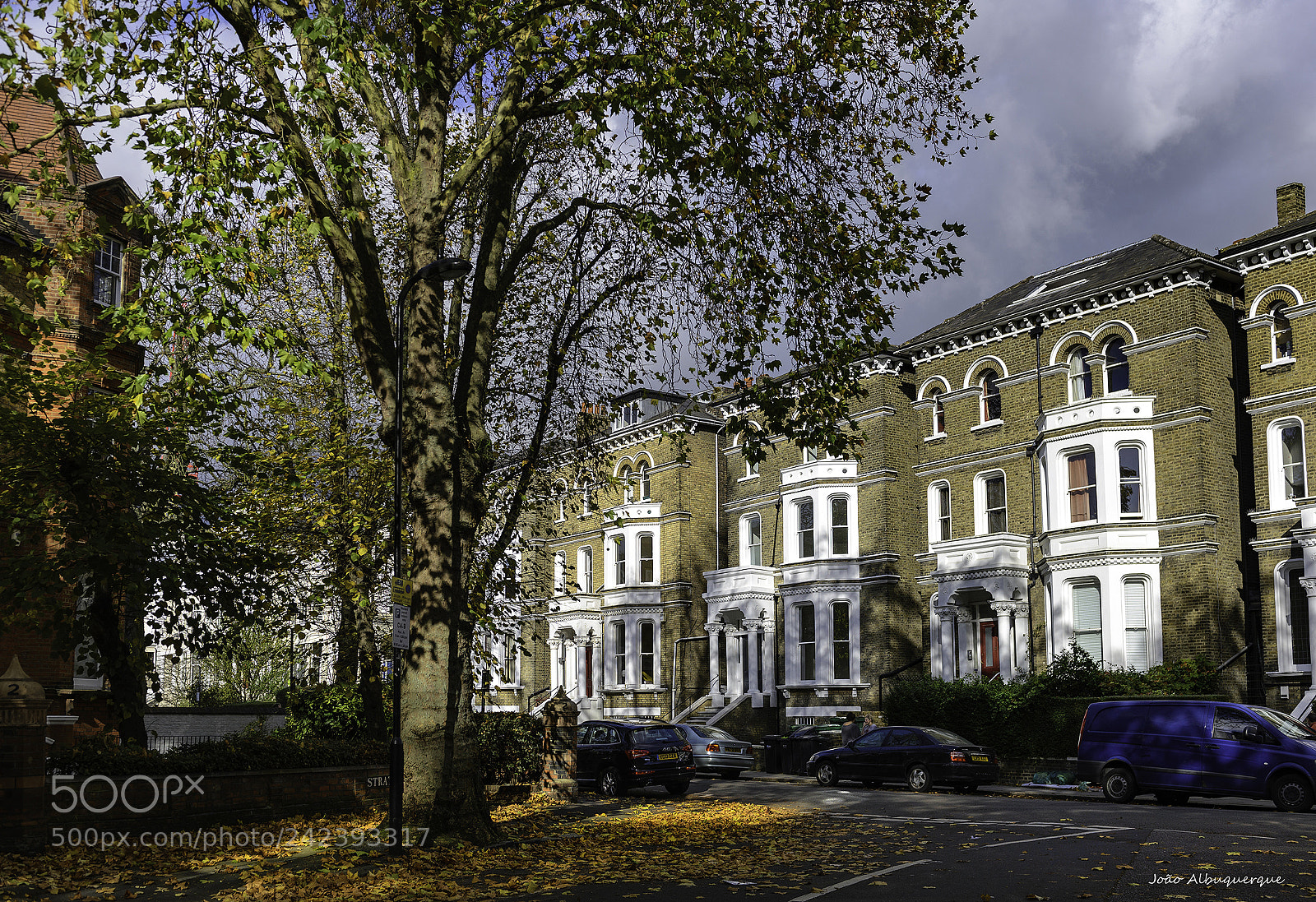 Nikon D600 sample photo. A corner in autumn photography