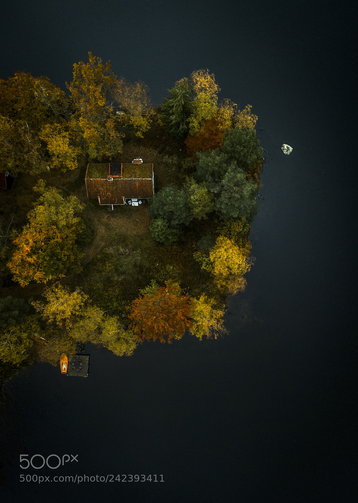 DJI FC220 sample photo. Cabin in the woods... photography