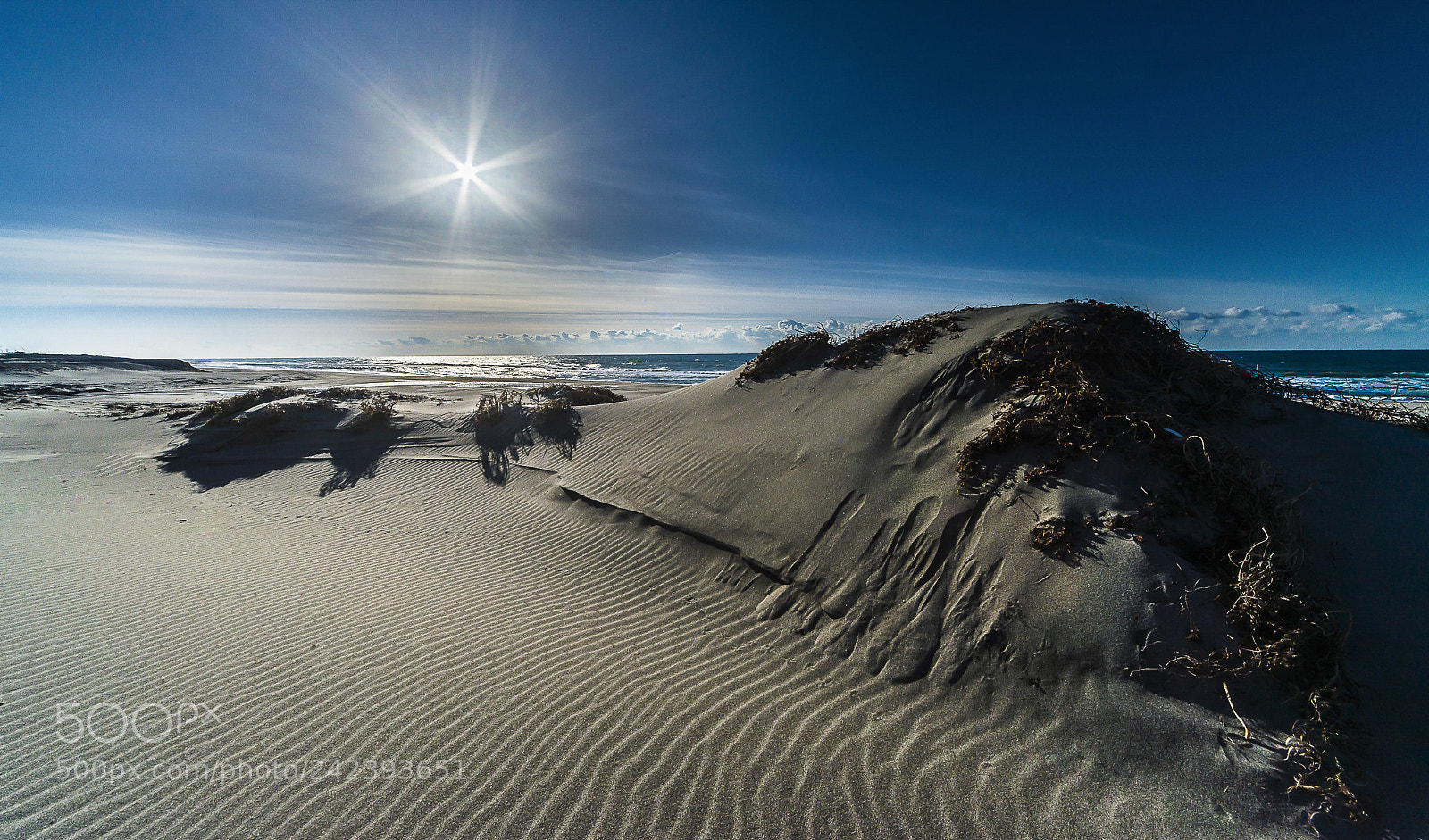 Nikon D800 sample photo. A sandy mountain resembling photography