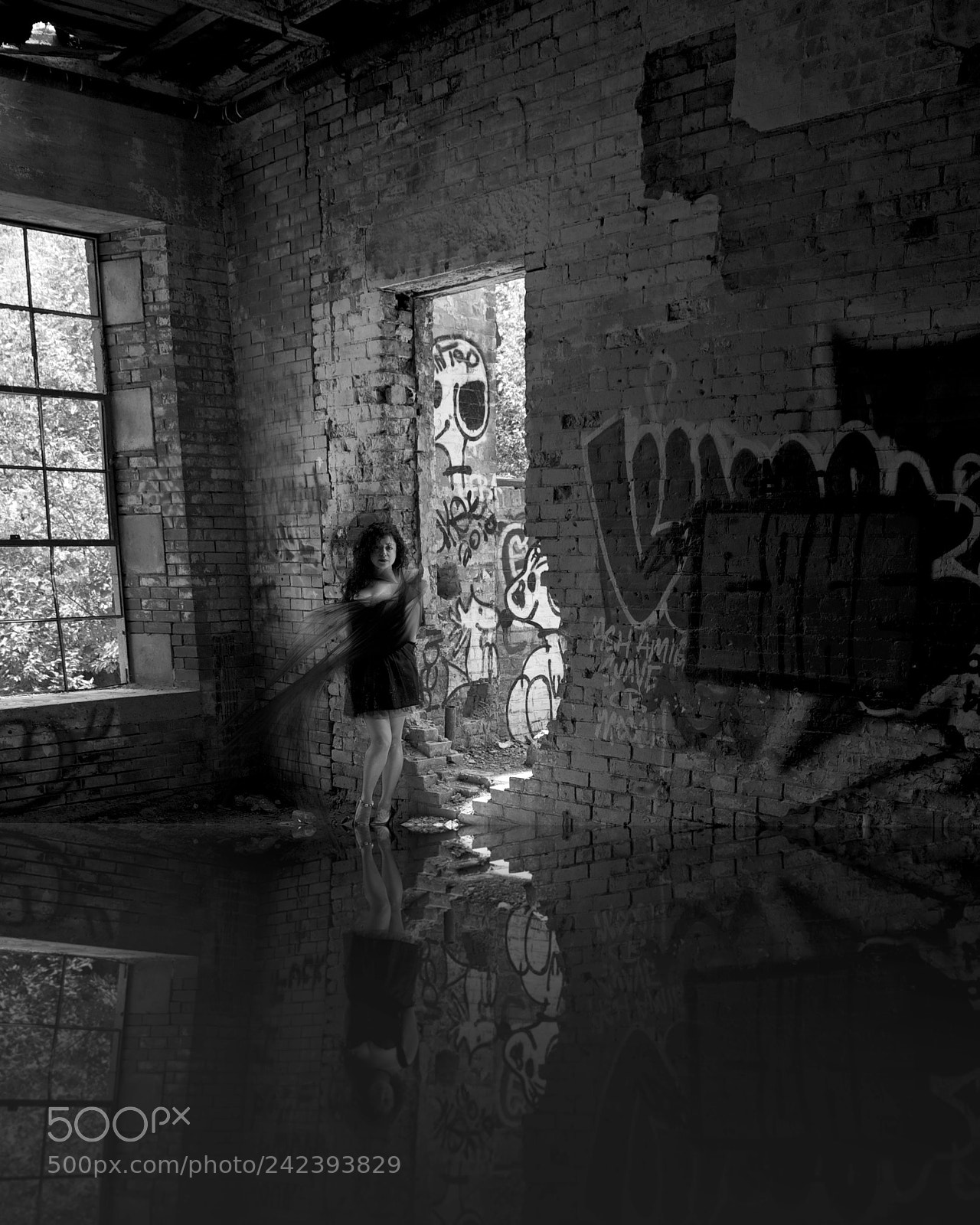 Nikon D4 sample photo. Untitled photography