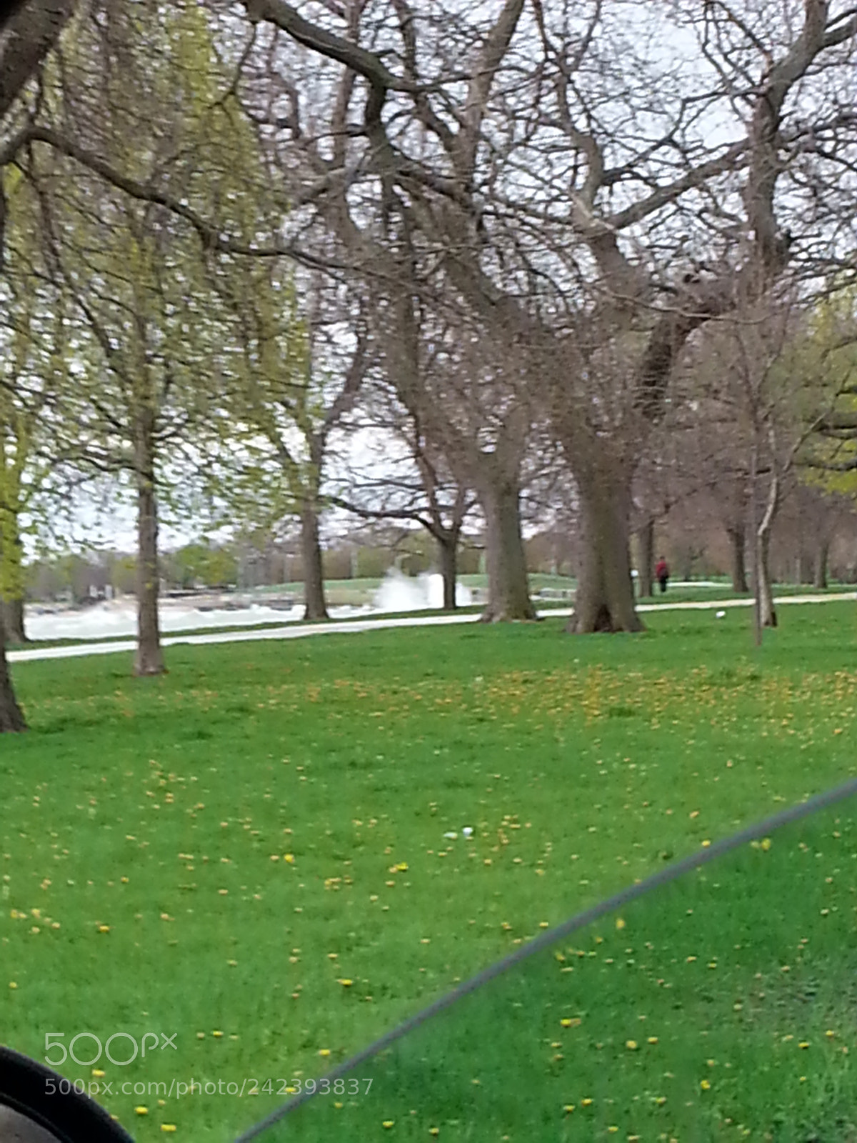 Samsung Galaxy S3 sample photo. Untitled photography