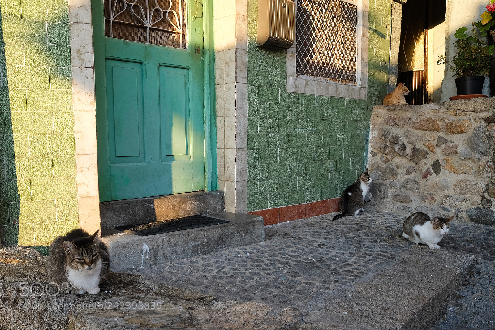 Fujifilm X70 sample photo. Vigo photography