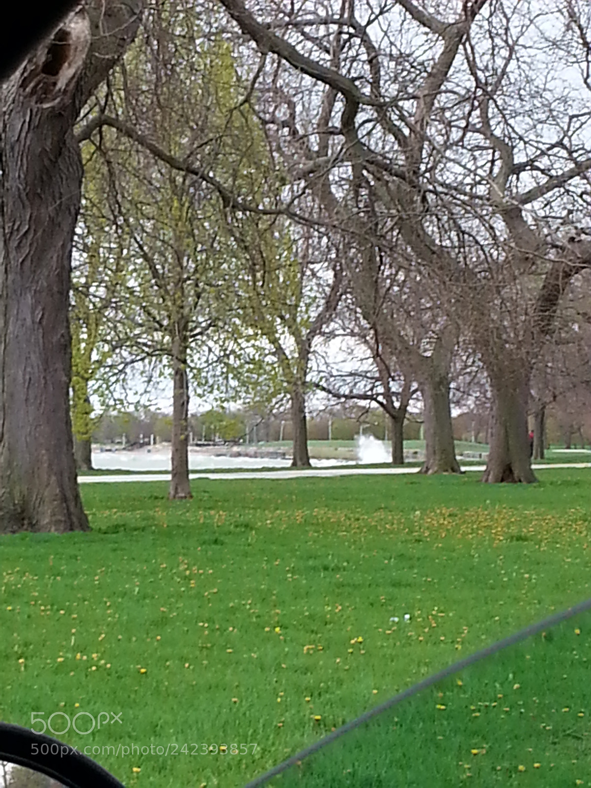 Samsung Galaxy S3 sample photo. Untitled photography