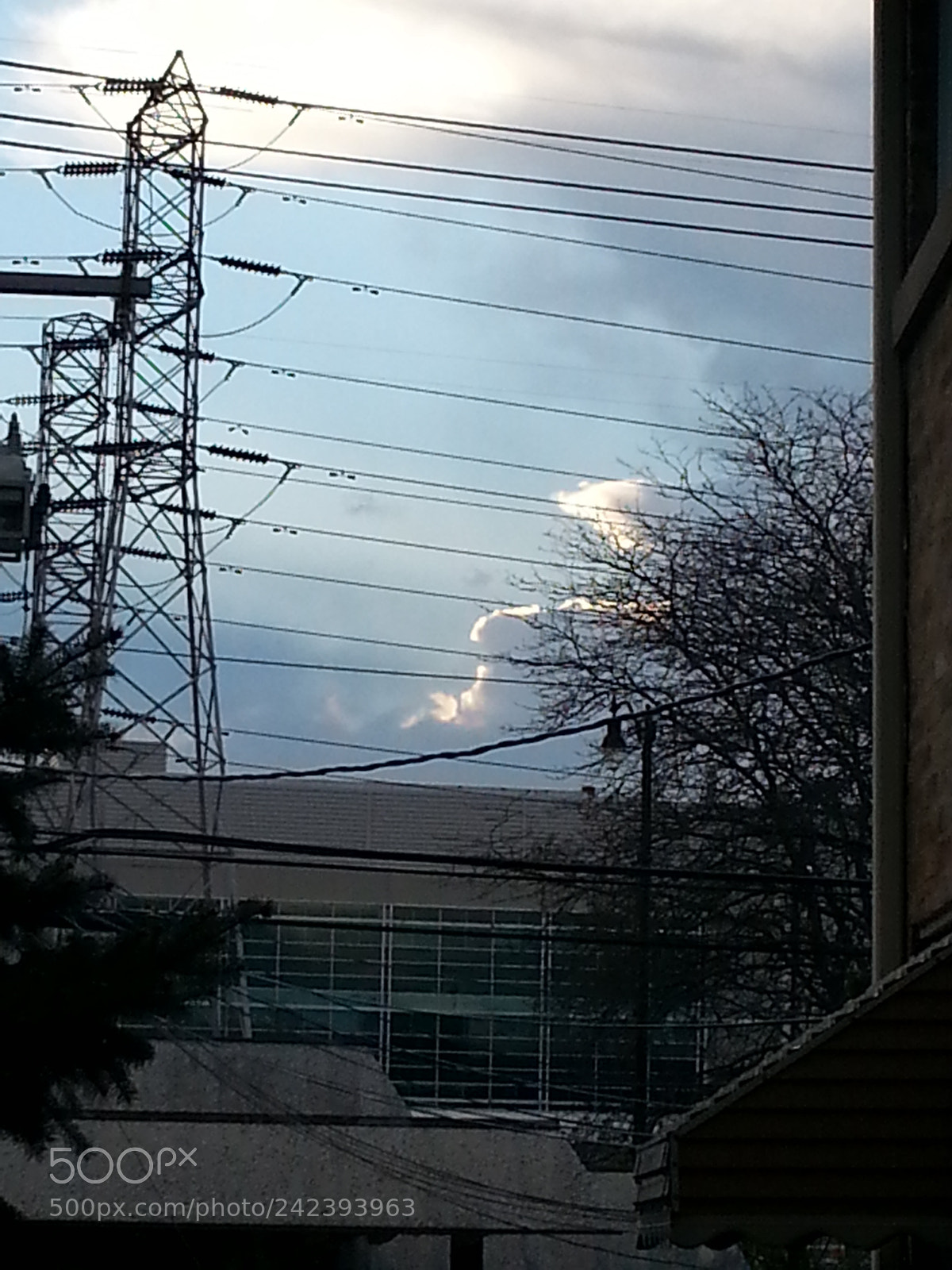 Samsung Galaxy S3 sample photo. Untitled photography