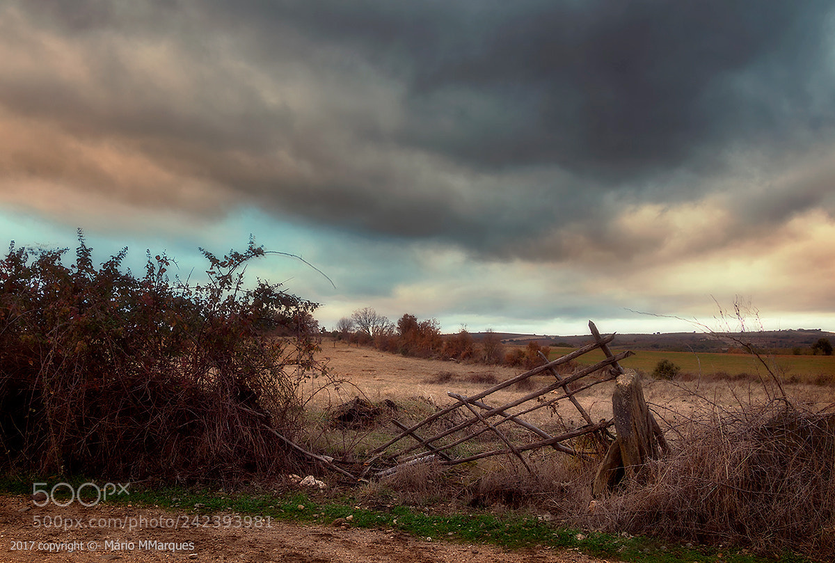 Canon EOS 60D sample photo. Paisagem rural... photography