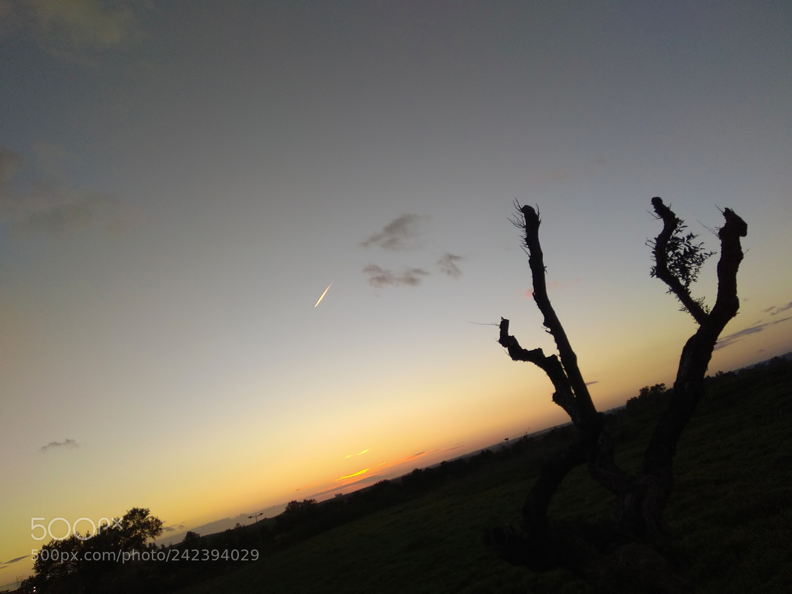 Xiaomi Redmi Note 4 sample photo. 921 photography