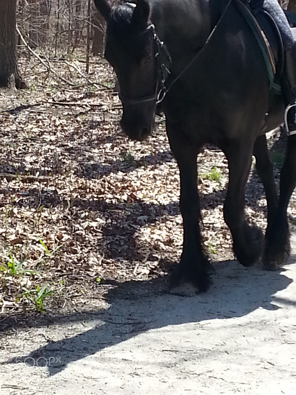 Samsung Galaxy S3 sample photo. Untitled photography
