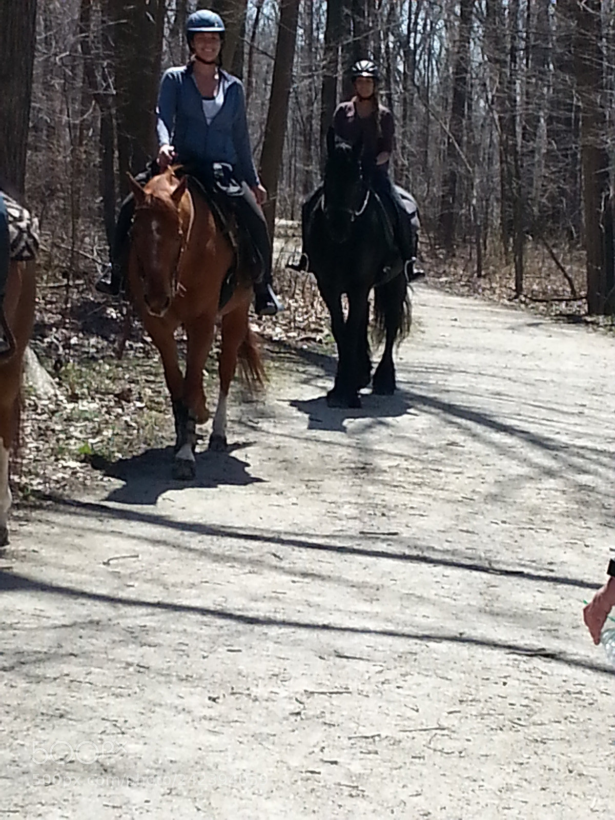 Samsung Galaxy S3 sample photo. Untitled photography