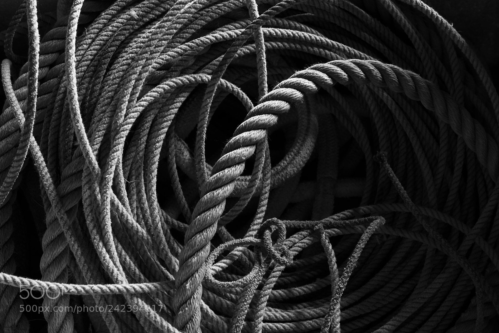 Nikon D800 sample photo. Sampaulesi daydaily assignment photography