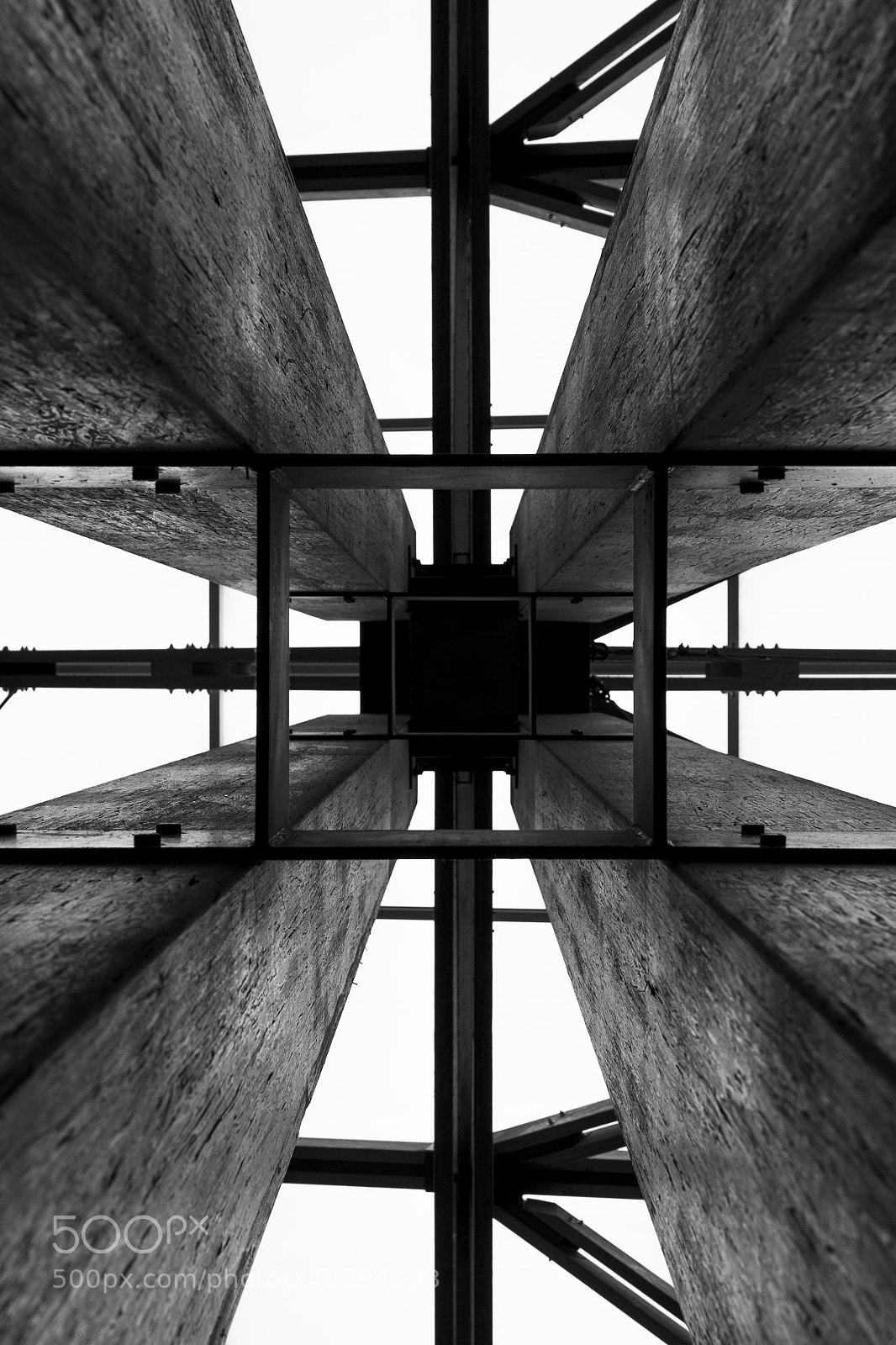 Nikon D800 sample photo. Sampaulesi daycampus(inside) photography